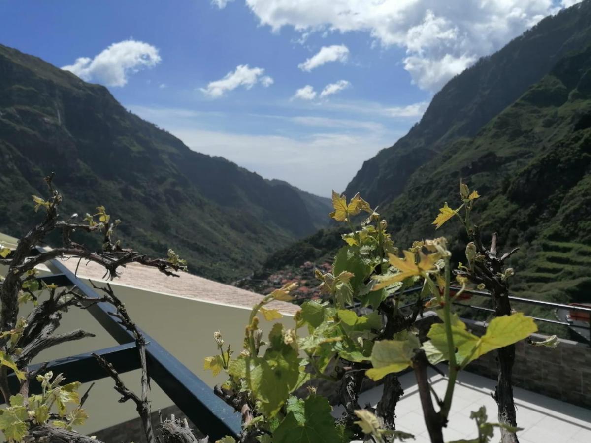 Green Valley House Madeira Ribeira Brava Eksteriør billede